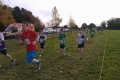 2015 Leinster crosscountry – even